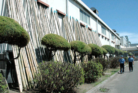 放置竹林の竹を活用して工場の建屋に設置された日よけ（長岡京市神足・ツバキエマソン本社工場）